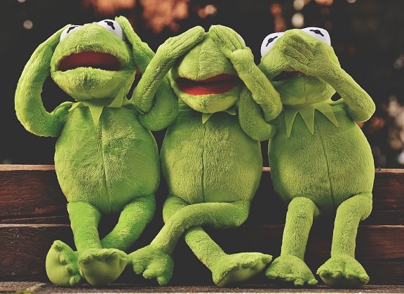 Three puppet frogs reacting differently